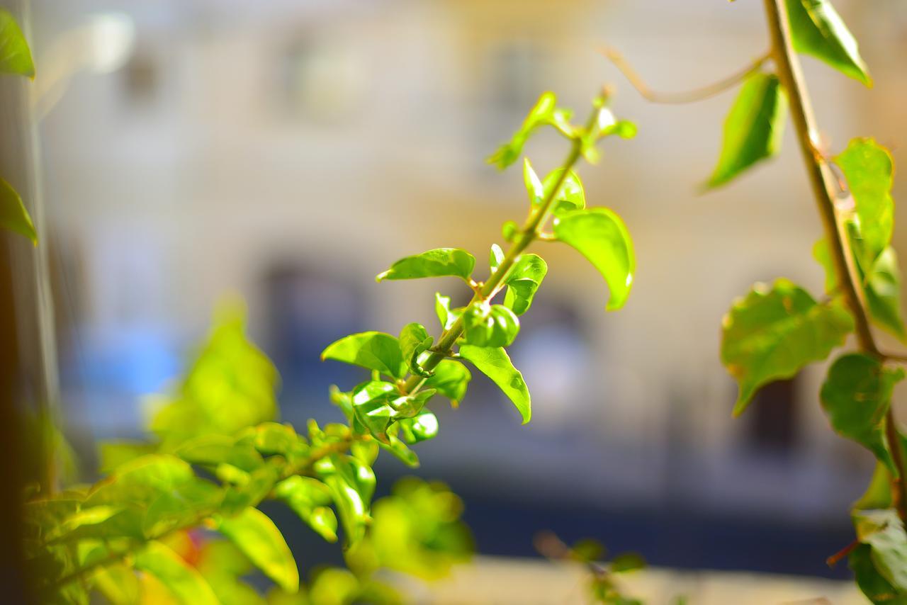 The Burrow Guest House Tarxien Luaran gambar